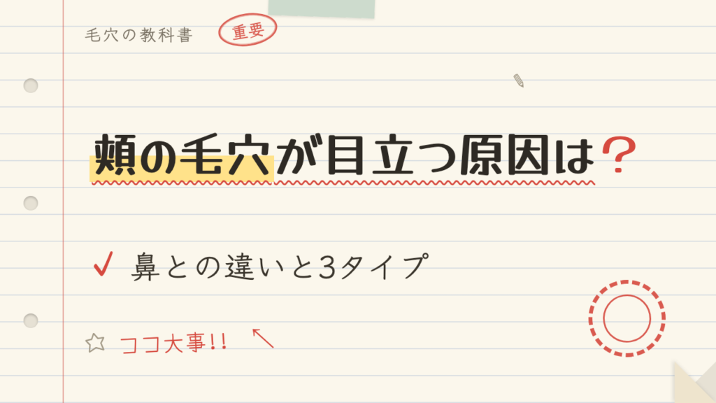 頬の毛穴が目立つ原因は?鼻との違いと3タイプ