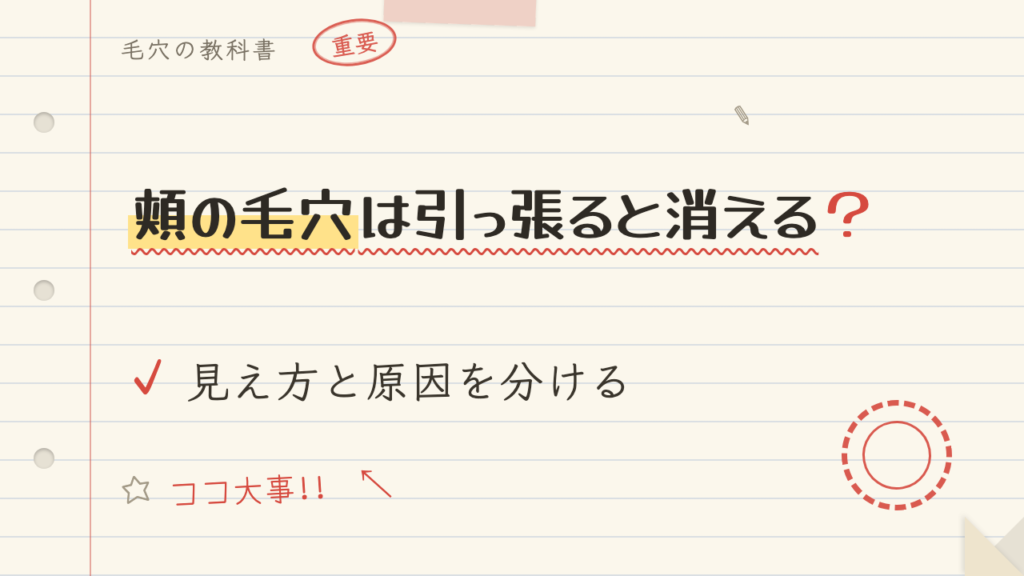 頬の毛穴は引っ張ると消える?見え方と原因を分ける