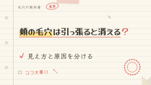 頬の毛穴は引っ張ると消える?見え方と原因を分ける