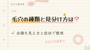 毛穴の種類と見分け方は?全顔を見え方と症状で整理