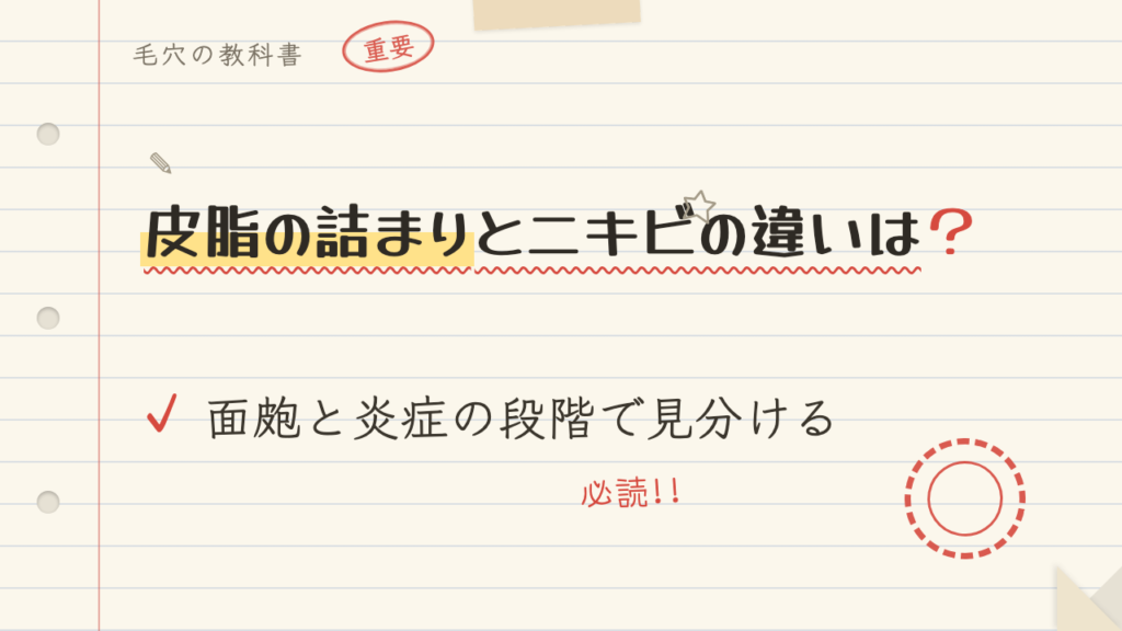 皮脂の詰まりとニキビの違いは?面皰と炎症の段階で見分ける