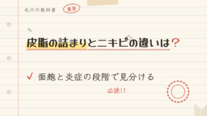 皮脂の詰まりとニキビの違いは?面皰と炎症の段階で見分ける