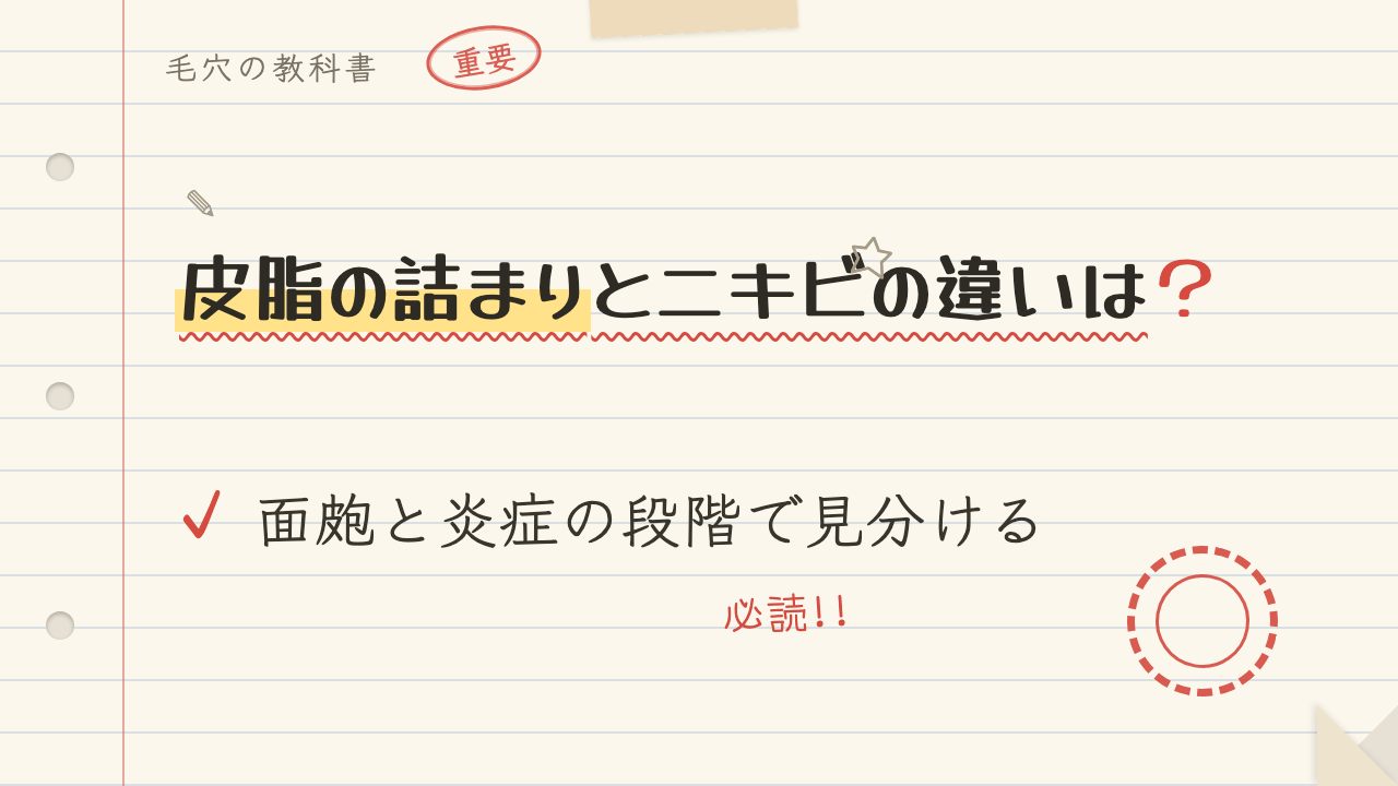 皮脂の詰まりとニキビの違いは?面皰と炎症の段階で見分ける