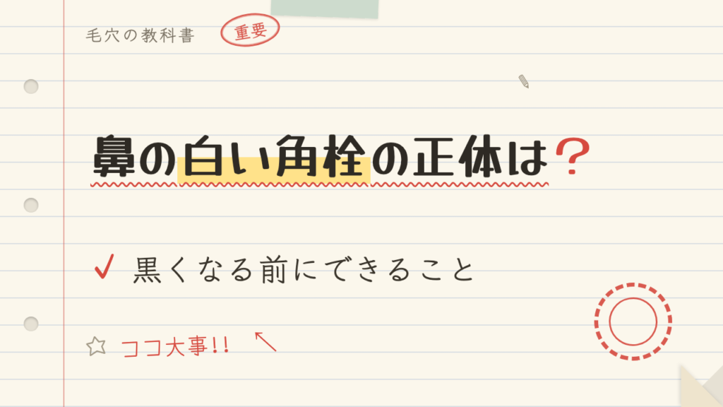 鼻の白い角栓の正体は?黒くなる前にできること