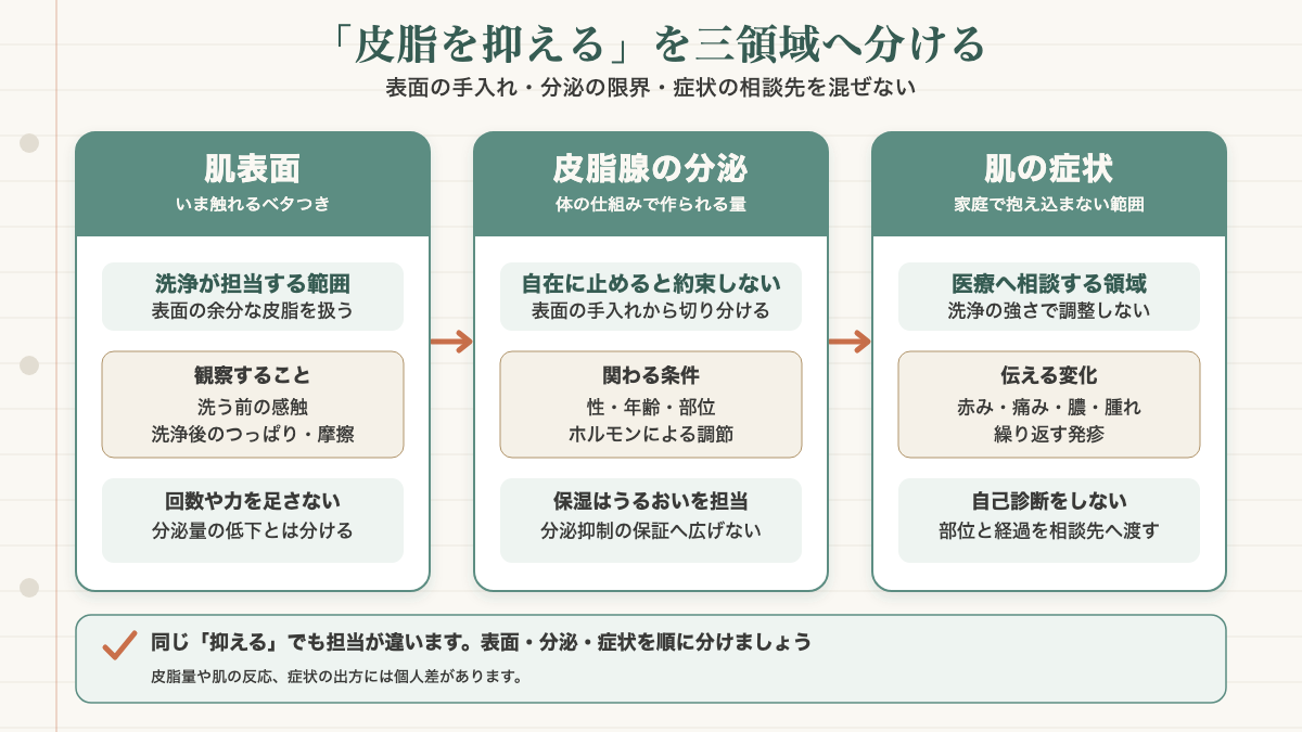 皮脂を抑えるという期待を肌表面の余分な皮脂・皮脂腺からの分泌・赤みや痛みなどの症状に分け、洗浄・保湿・医療の担当範囲を示す図